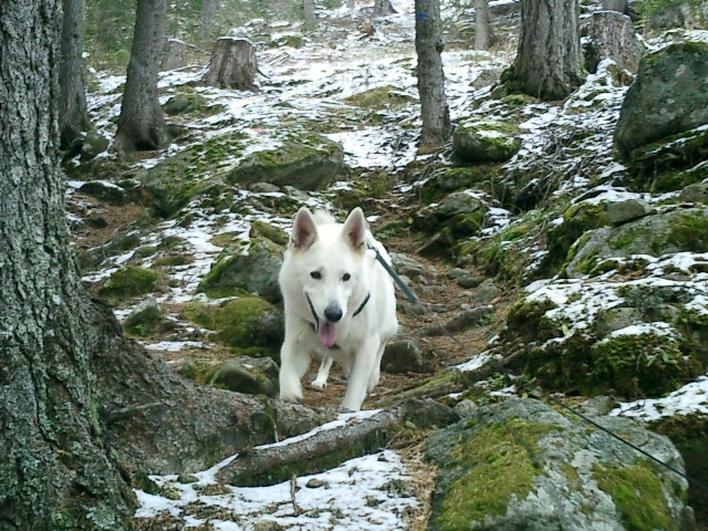 Fotos/Nest2004/Vervolg/Cujo/vakantie_2010_zomer_winter_954[1].jpg